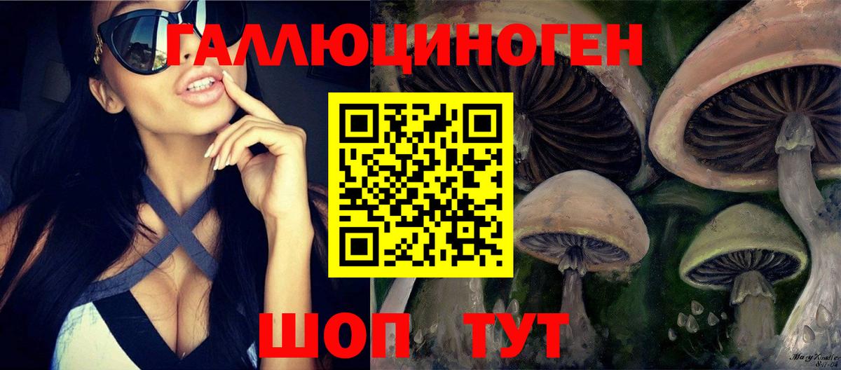 Галлюциногенные грибы Psilocybe  Псилоцибиновые грибы Cubensis  Гурьевск  Вход с VPN 